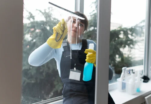 Nettoyage de vitres intérieures et extérieures à Langé